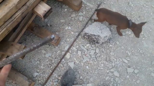 Заземление на счётчик,на участке смотреть онлайн