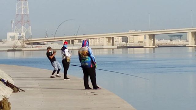 В Оманском заливе на удочку поймали огромную скумбрию#макрель#рыбалканаудочку