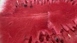 Астрахань 2020. Астраханские арбузы! Как выбрать спелый арбуз. Желтый арбуз. Дегустация и цены
