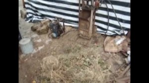 Поленья из опавших листьев. Бизнес идея в гараже на дровах и пеллетах из листьев