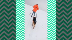 ПРОГУЛКА НА ЛЫЖАХ