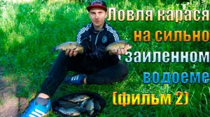 Ловля карася на фидер на сильно заиленном водоеме (Второй выезд)