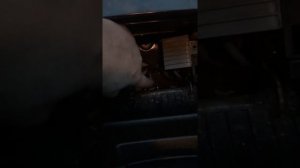 Если не держит ручник ленд крузер 200 сделай это.