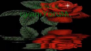 sezen aksu tukenecegiz