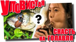 Уловистая снасть на голавля!