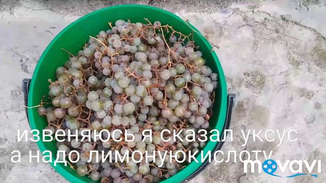 Вкусный подарок.🍇🍇🍇 смотреть онлайн