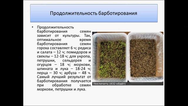 Барботирование семян смотреть онлайн