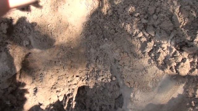 Коп по старым лесным дорогам. Коп с Minelab Equinox.