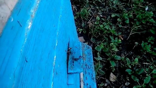 Пізній взяток смотреть онлайн