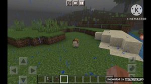 Как спрятать предмет от игроков в майнкрафт