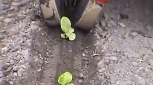 РАССАДОПОСАДОЧНАЯ МАШИНА