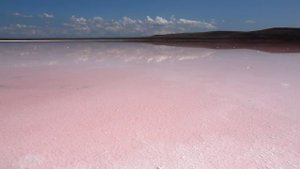 Крым. Фильм 24 Опукский заповедник.mp4