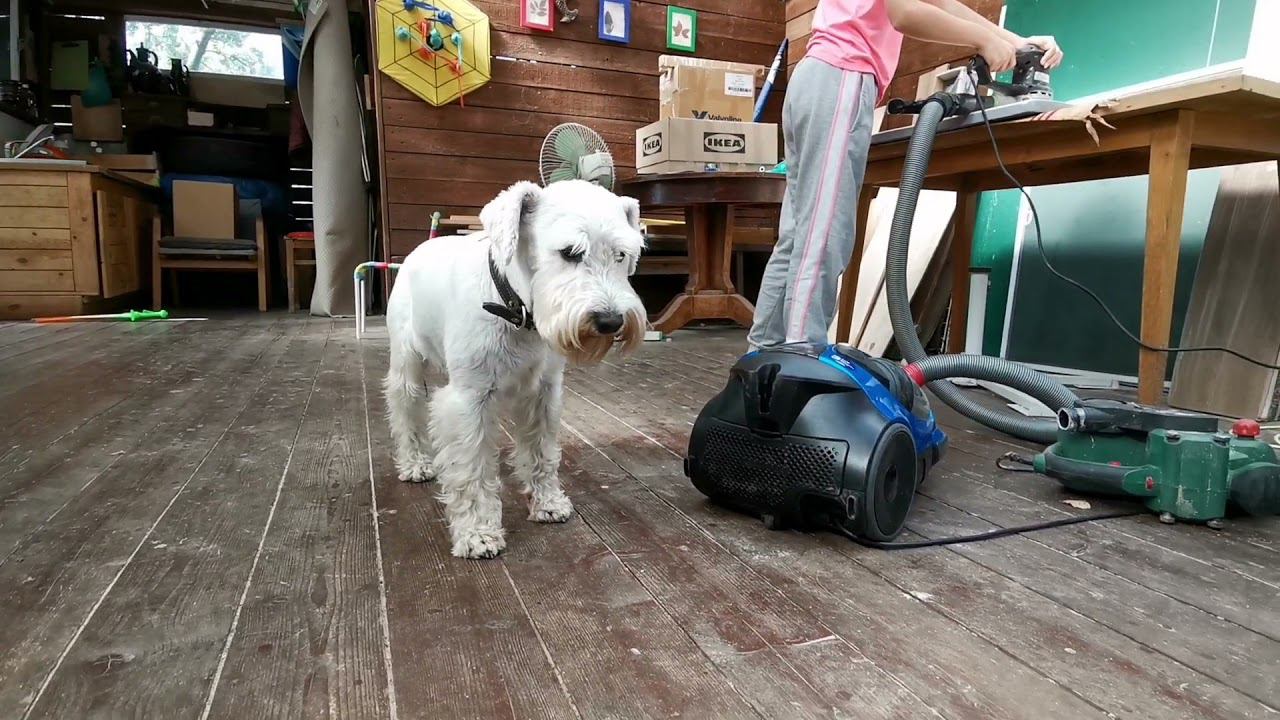 подготовка к учебному сезону смотреть онлайн