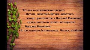 АНЕКДОТЫ про Василия Ивановича и Петьку. Серия№10