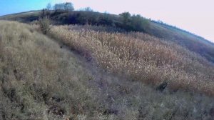 Охота на зайца. Охота с легавой. ИЖ-27. Удачная охота.