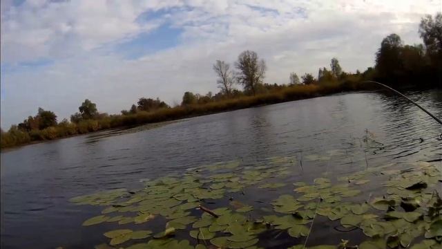 Боковой кивок и лёгкий спиннинг на не обитаемом речном острове... смотреть онлайн