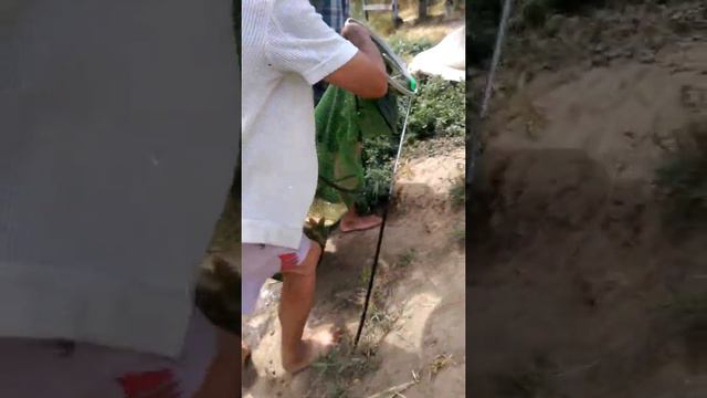 Рыбалка в Ляпичеве