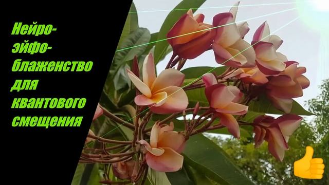 Нейро- эйфо- блаженство для квантового смещения ⏳ Легкое и быстрое наполнение эйфорией, восторгом смотреть онлайн