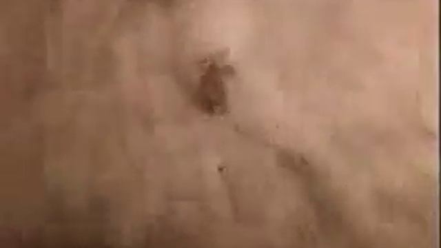 Испытания тактического ядерного оружия.flv смотреть онлайн