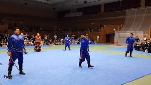 Фланкировка  Cossack  "Перначъ" в Японии