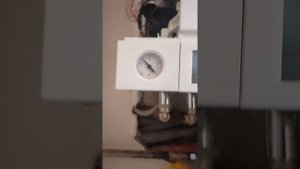 Ремсервис "Manon" Запуск газового котла Висман Витопенд 100 думоходный.