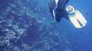 Water Sports in English - Water Sports English Vocabulary