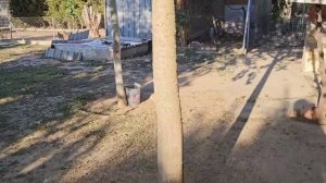 Вся на нервах жду гостей//Чем буду удивлять гостей/готовлюсь к встрече/Приехала ИРА