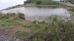 Разведка новой локации с результатом, рыбалка на рогатку