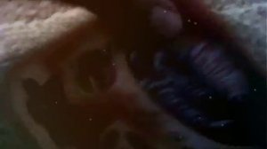 Что мне привезли с Туниса