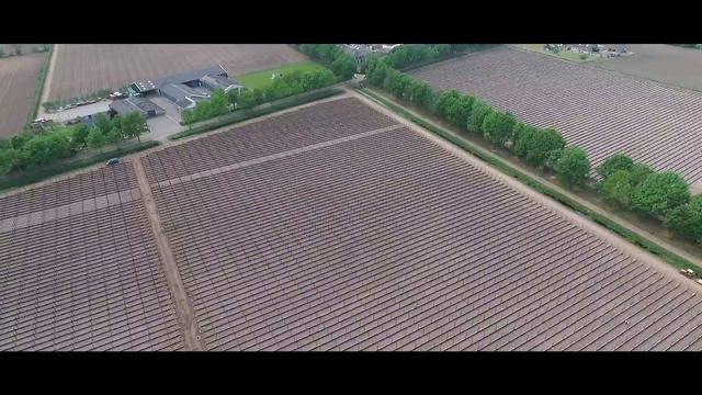 Van den Elzen Plants - Our new raspberry and strawberry tray fields seen from above! смотреть онлайн