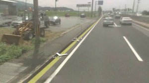 Теория завышеной числености1