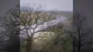 То не ветер ветку клонит  -  Хор Валаамского монастыря