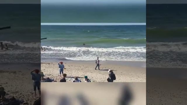 Купание в Балтийском море в одежде
