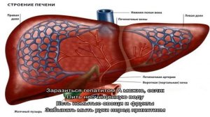 Лечение печени пищевой содой: рецепты применения. Чистка печени пищевой содой