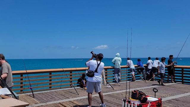 Nikon CoolPix P950 | Know Your Tool | Pt 6 смотреть онлайн