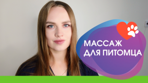 Массаж для собак и кошек