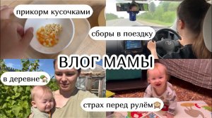 ВЛОГ МАМЫ :) про кусочки, сборы в поездку, мы в деревне, страх перед рулем (37)