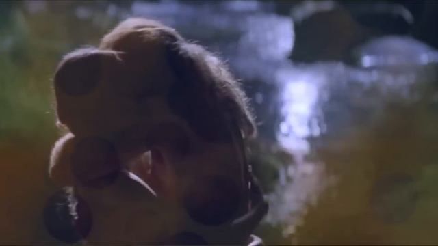 Braveheart - William & Princesse смотреть онлайн