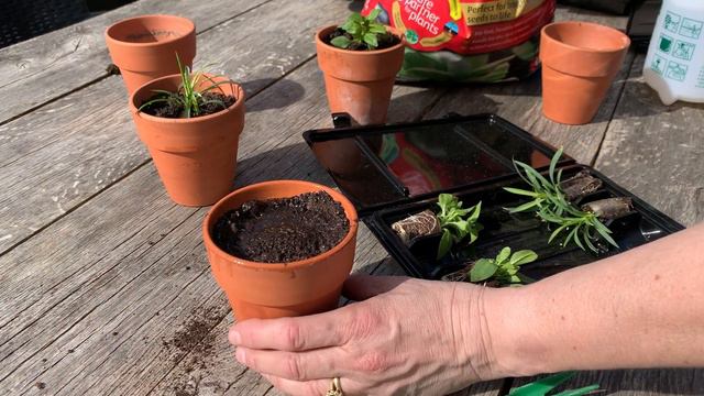 How to plant Super  Plugs смотреть онлайн