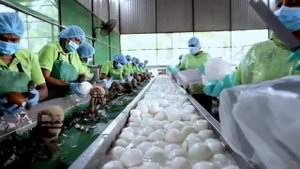 Производство миллионов продуктов из кокосовых орехов / Noal Farm / Озвучка / Deron
