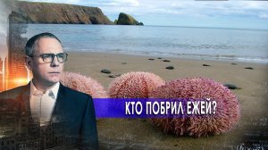 Кто побрил ежей? Самые шокирующие гипотезы с Игорем Прокопенко (29.10.2020).