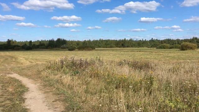 Продажа участка на Чудском озере смотреть онлайн