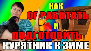 Как обработать и подготовить курятник к зиме.