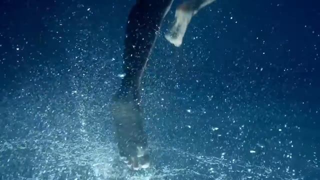 Miele G7000 Mosogatógépek Innovatív AutoDos és PowerDisk® Funkcióval смотреть онлайн