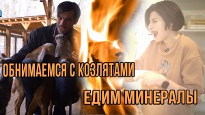 Посмотрели, как делают косметику и вино, погуляли по горам и фермам Северского района