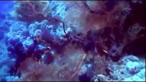 ДУЙКО© Манибхадра Мантра денег   Дуйко читает 108 раз   Просто слушайте кждый день ! @Дуйко