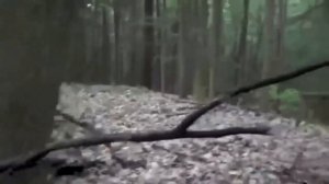 5 СТРАШНЫХ ВЕДЬМ Снятые на Камеру | ч.2