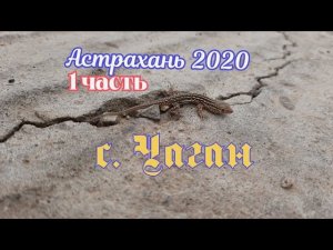 РЫБАЛКА И ОТДЫХ ►река Волга, село Чаган, июль 2020, Часть 1