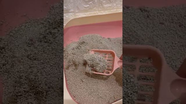 Produk Ampuh Hilangkan Bau смотреть онлайн