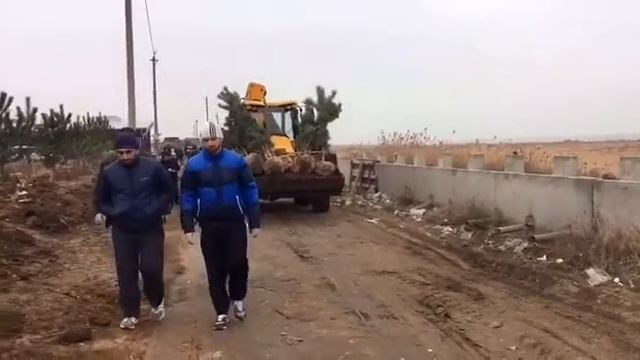 Посадка крымской сосны в Духовном Центре. 22.12.19г.